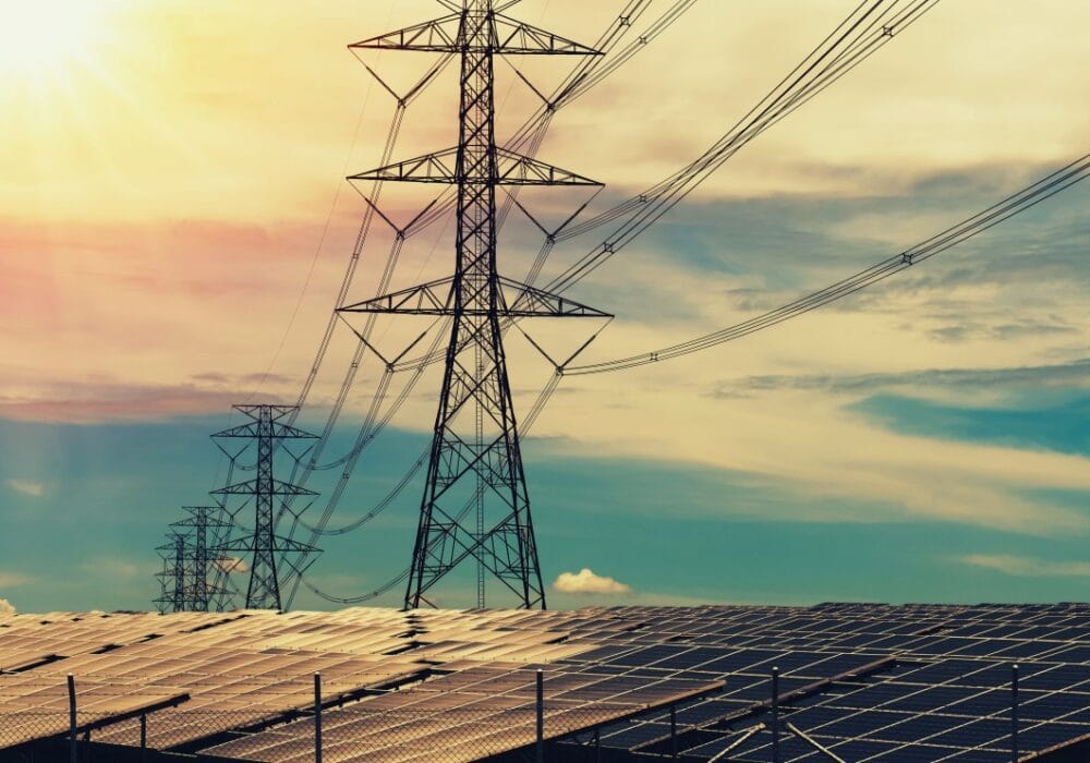 On-grid-Image-1-resized